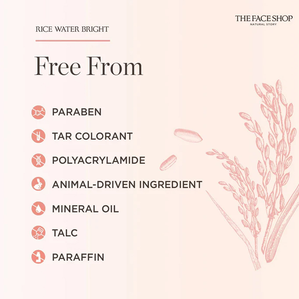 THE FACE SHOP RICE WATER BRIGH – Luxury Skincare Shop recenzja i cena